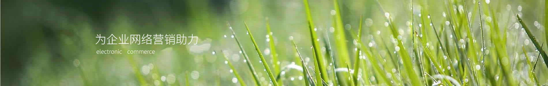 ӾؿƼչ޹˾